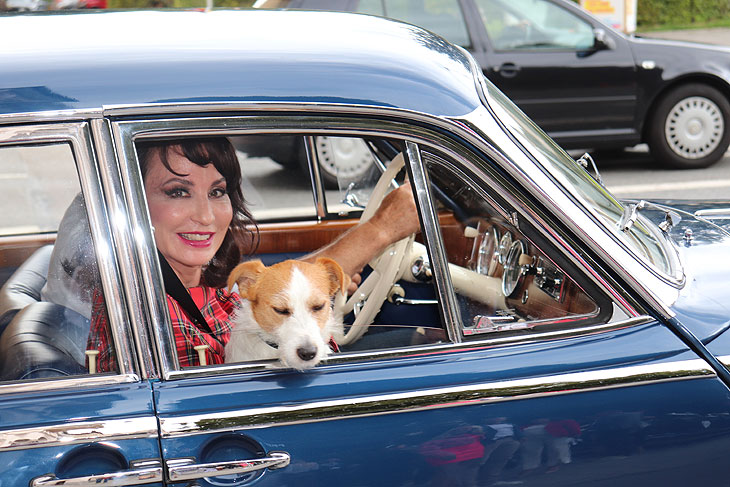 Anna Maria Kaufmann war unterwegs mit Hund Oskar in einem BMW 502 "Barockengel" - dieser stammte aber aus Privatbesitz und nahm auch an der Ausfahrt  von „Automobile Meilensteine“  teil  (©Foto. Martin Schmitz)